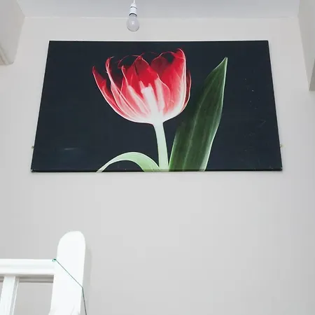 Sps Homes Appartamento Birmingham